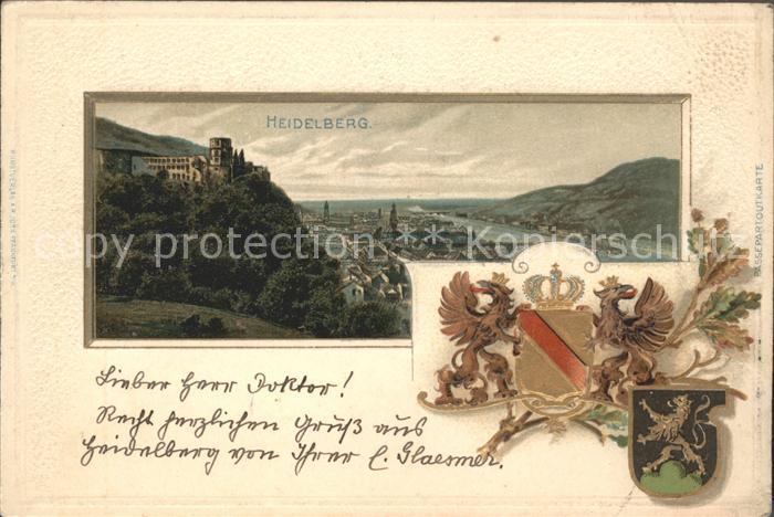 Heidelberg Neckar Panorama Schloss