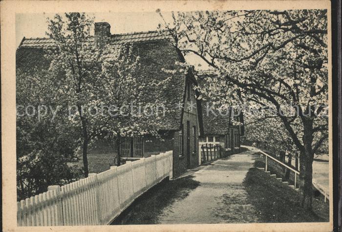 HAMBURG  CITY Bluetezeit in der Luehe