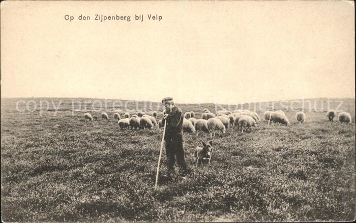 Hirte Kind Hund Schafe Zijpenberg Velp
