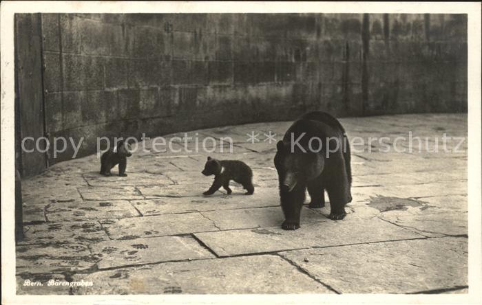Baeren Bern Baerengraben
