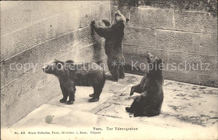 Baeren Bern Baerengraben