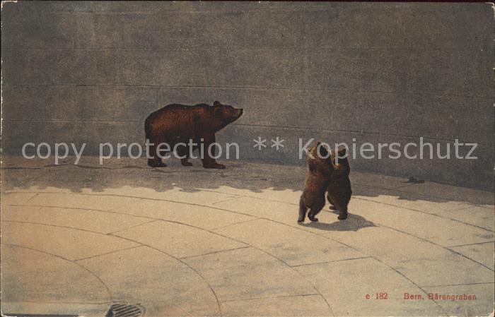 Baeren Bern Baerengraben