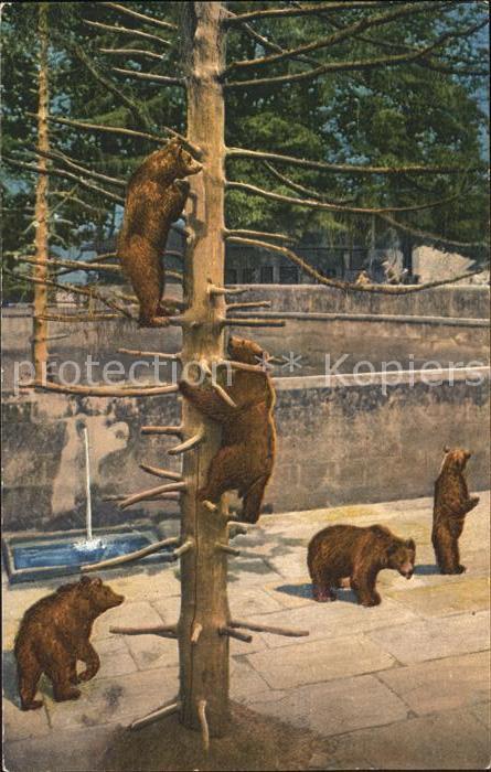 Baeren Bern Baerengraben