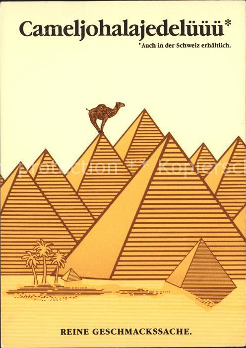 Kamel  Camel Chameau Werbung Zigaretten