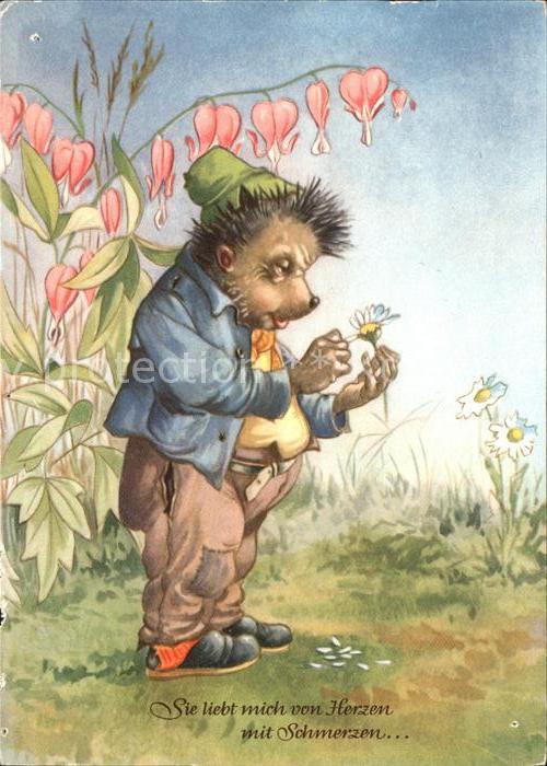 Igel Tiere vermenschlicht Mecky Gaensebluemchen Sie liebt mich von Herzen