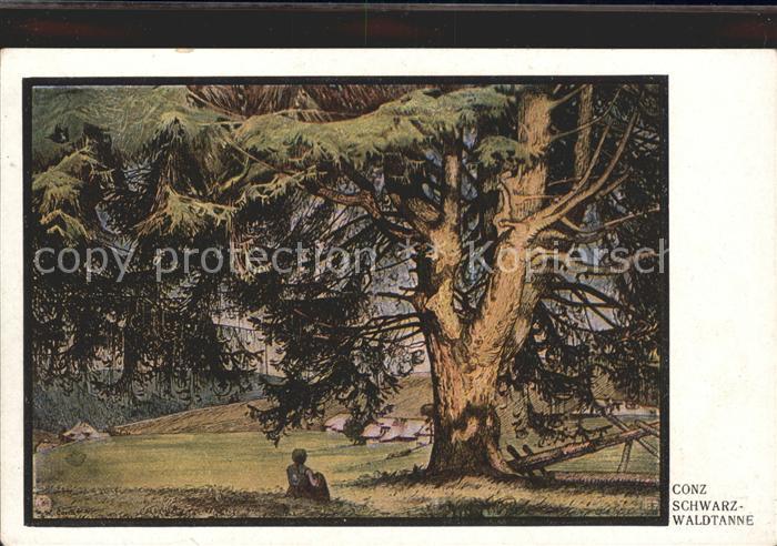 Kuenstlerkarte Conz Schwarzwaldtanne