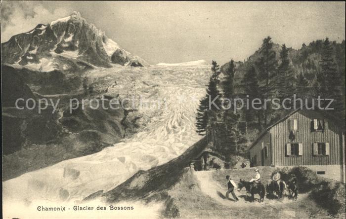 Chamonix Glacier des Bossons