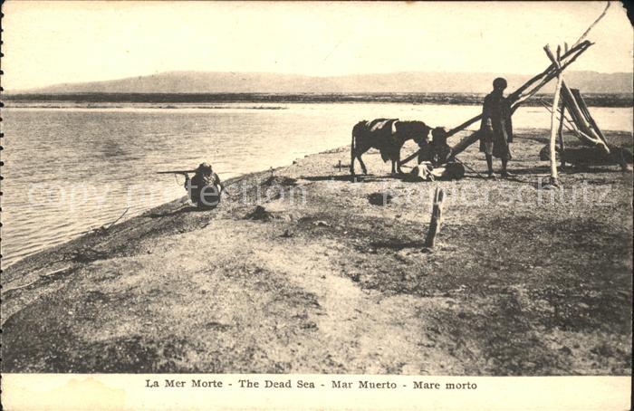 Dead Sea Totes Meer