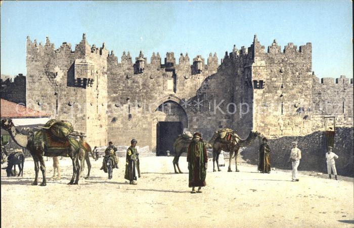 Jerusalem Yerushalayim Damaskustor Kamel