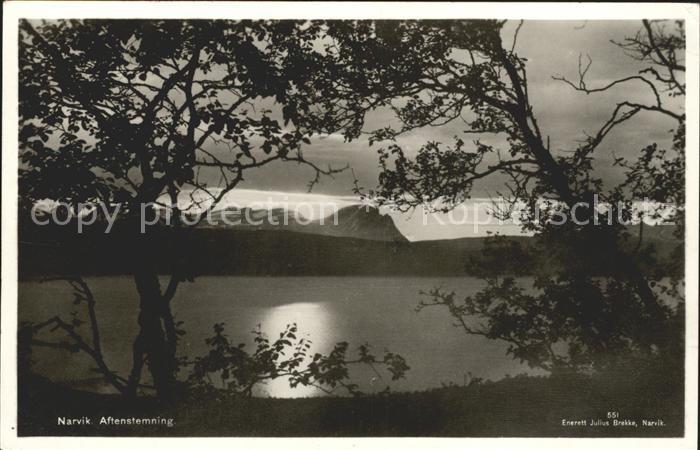 Narvik Aftenstemning Abendstimmung