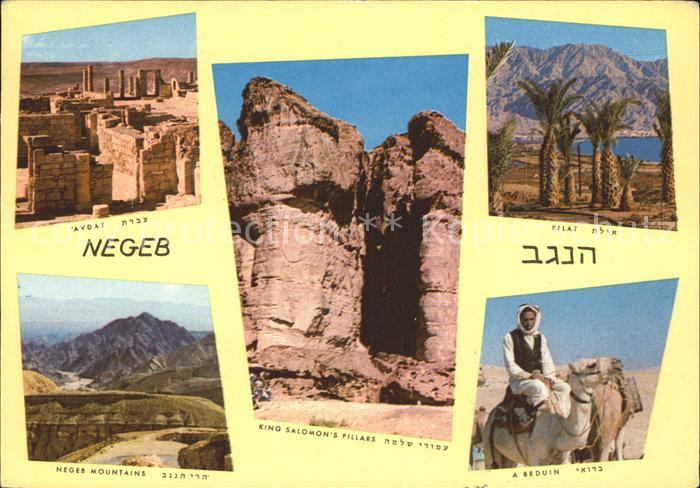 Israel Negeb Mountains Wueste Oase Kamel