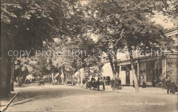 Cheltenham Promenade Frith's Series