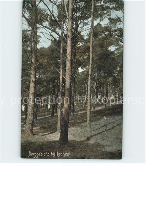 Lochem Berggezicht