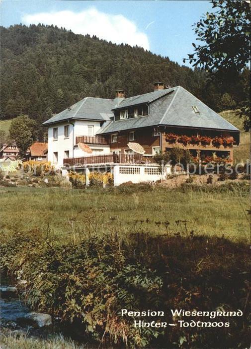 Hintertodtmoos Pension Wiesengrund