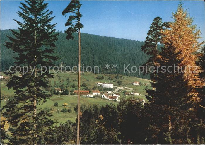 Bad Wildbad Nonnenmiss Enzkloesterle