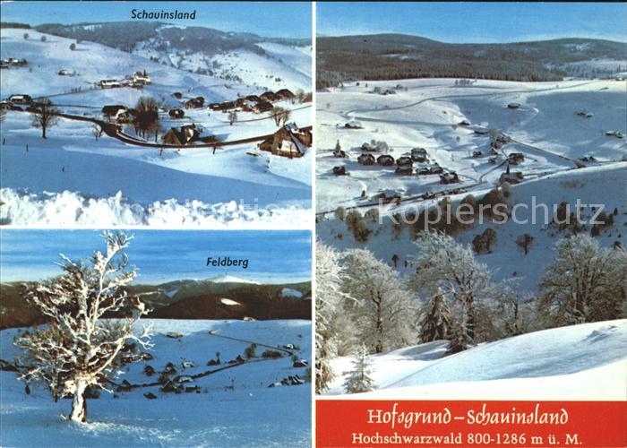 Hofsgrund Schauinsland Feldberg