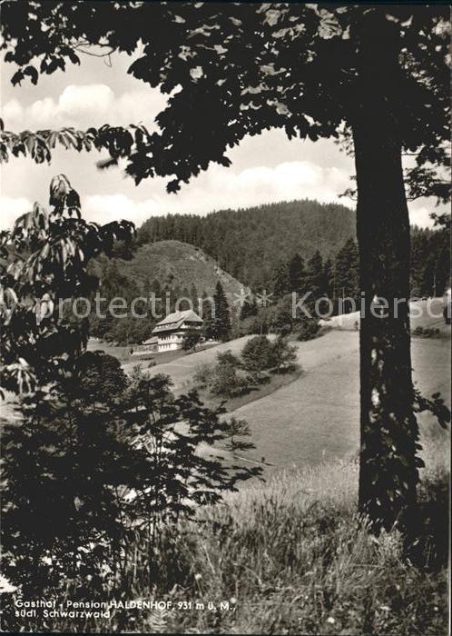 Neuenweg Gasthof Haldenhof