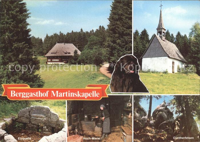 Furtwangen Berggasthof Martinskapelle