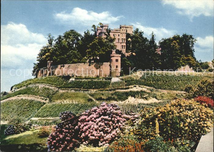 Ortenberg Baden Schloss