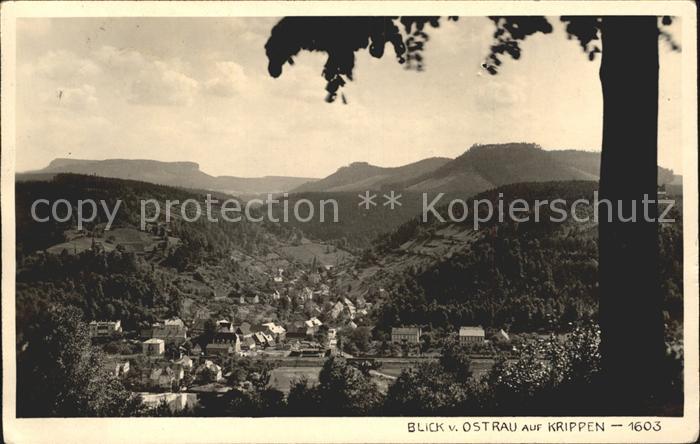 Krippen Bad Schandau Blick v. Ostrau
