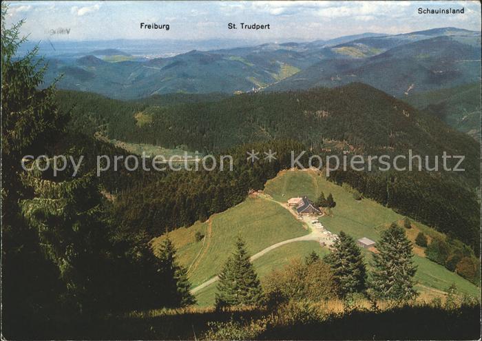 Untermuenstertal Kaelblescheuer Freiburg St. Trudpert Schauinsland