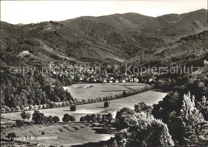 Freiburg Breisgau Guenterstal