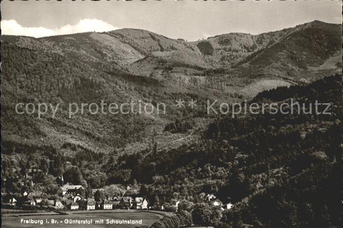 Freiburg Breisgau Guenterstal Schauinsland