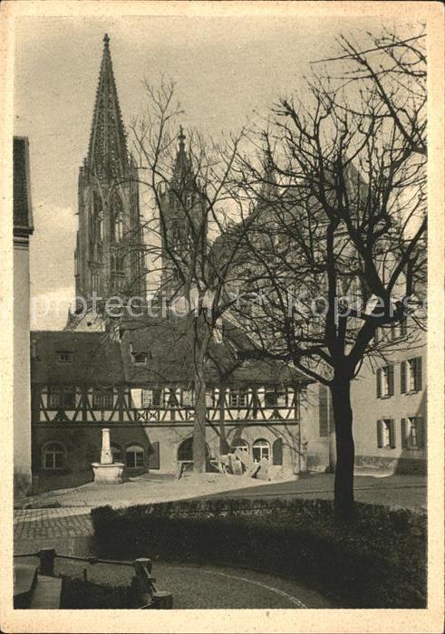 Freiburg Breisgau Muenster Muensterbauhuette