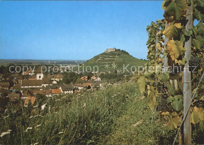 Staufen Breisgau Burgruine Trauben