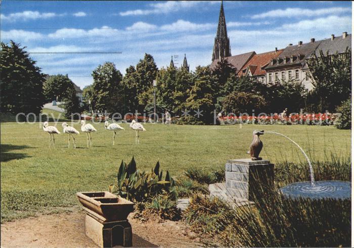 Freiburg Breisgau Stadtgarten Storch