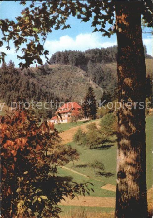 Neuenweg Gasthof Haldenhof