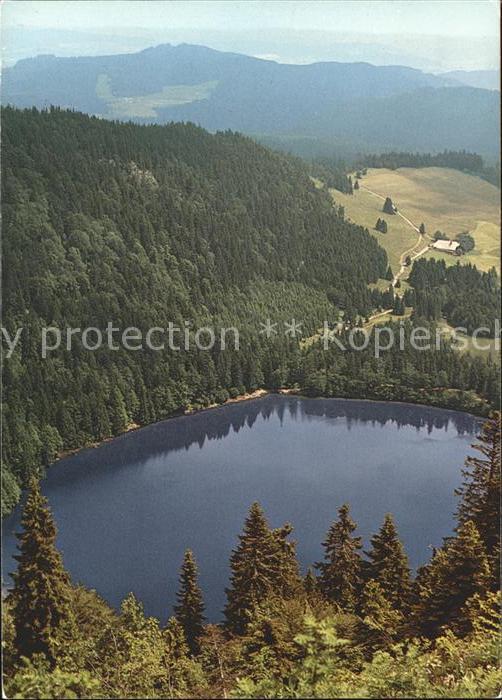 Feldberg Schwarzwald Blick Feldsee