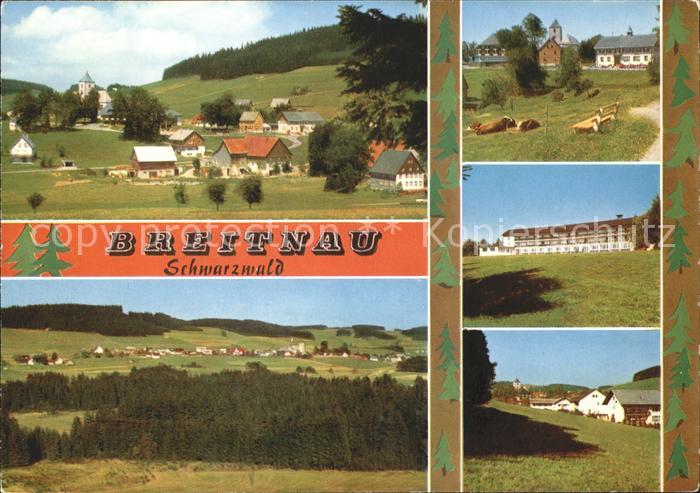Breitnau Kuehe Teilansichten