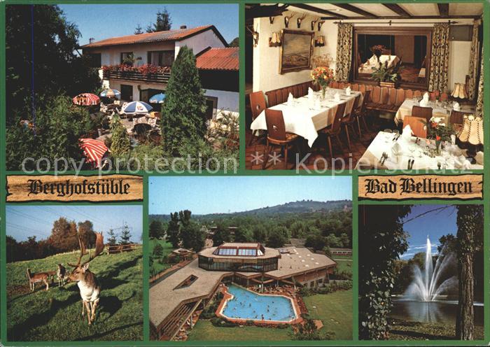 Bad Bellingen Berghofstuebe Hirsch Teich Springbrunnen