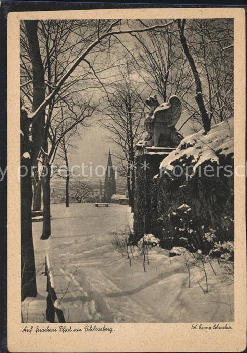 Freiburg Breisgau Schlossberg