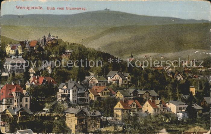 Wernigerode Harz Blick vom Blumenweg