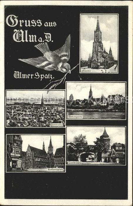 Ulm Donau Ulmer Spatz Muenster Rathausplatz
