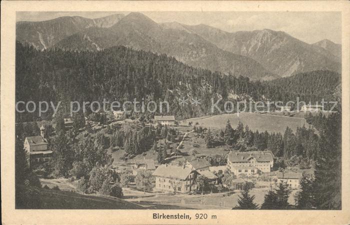 Birkenstein