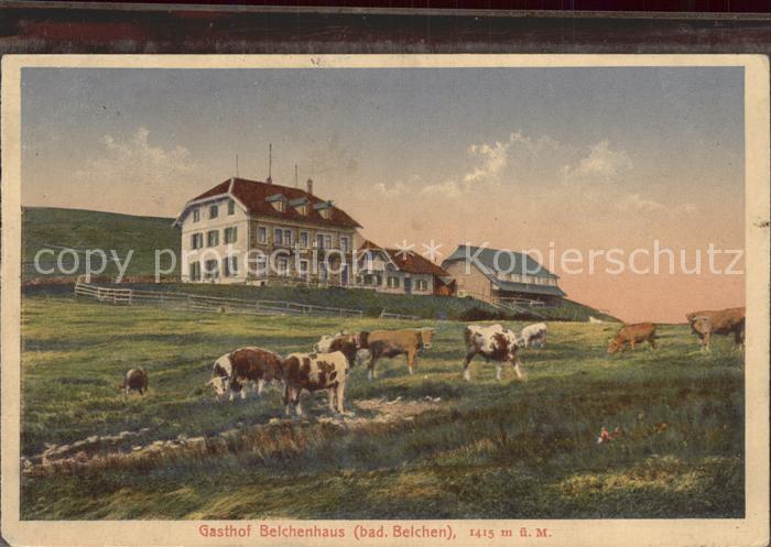 Schoenenberg Schwarzwald Berggasthaus Belchenhaus Kuehe