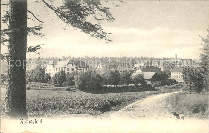 Koenigsfeld Schwarzwald Teilansicht