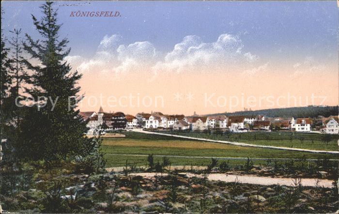 Koenigsfeld Schwarzwald Ortsansicht