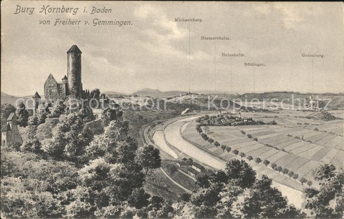 Hornberg Schwarzwald Burg Hornberg Panorama