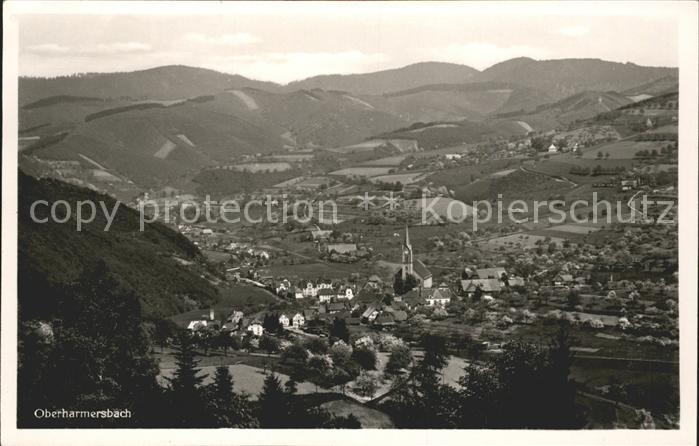 Oberharmersbach Totalansicht