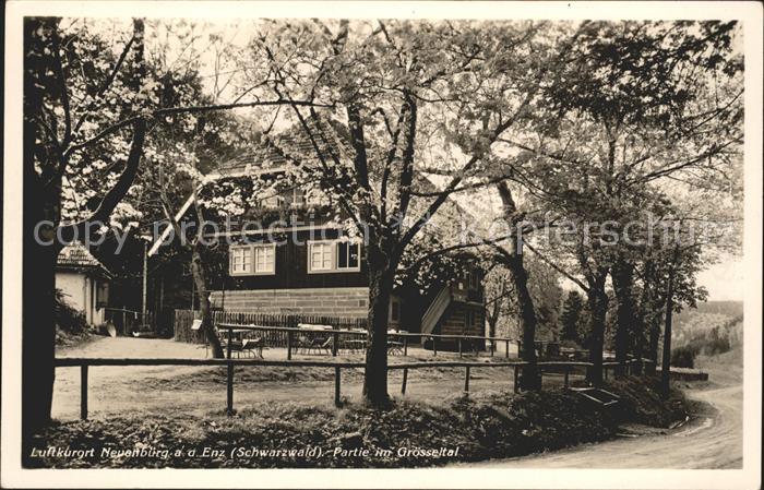 Neuenbuerg Enz Partie im Groesseltal