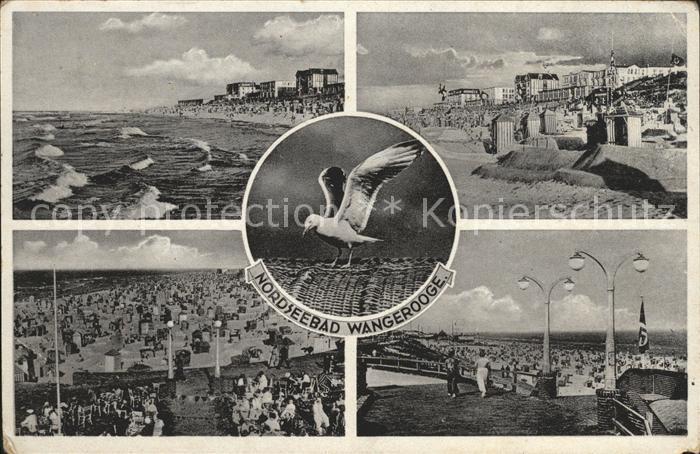 Wangerooge Nordseebad Partien am Strand Moewe NZ3