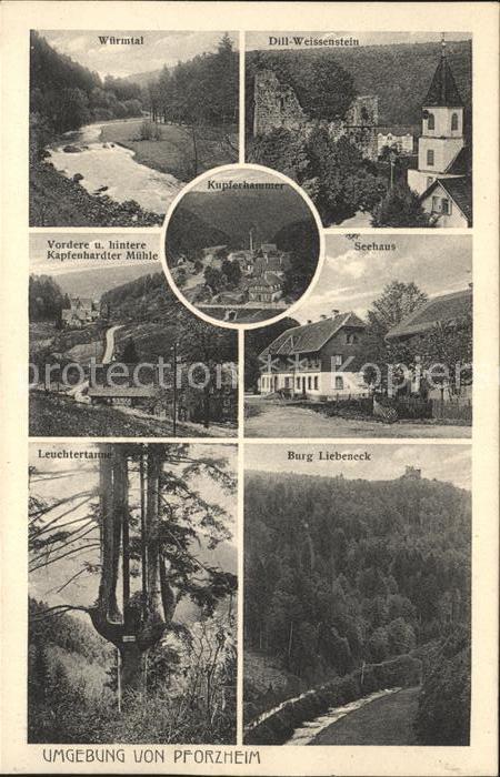 Pforzheim Wuermtal Dill Weissenstein Kapfenhardter Muehle Seehaus Leuchtertanne