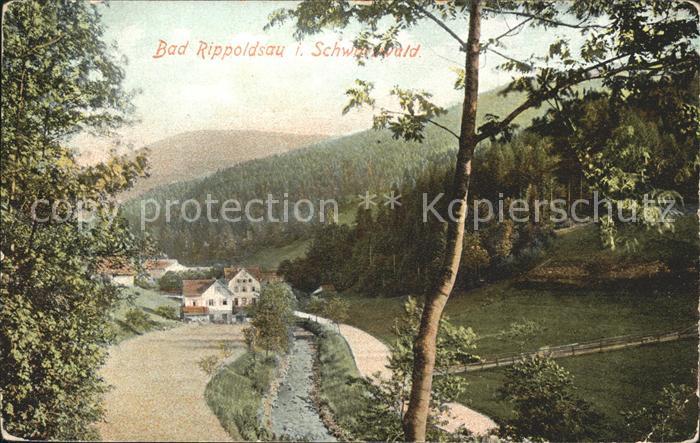 Bad Rippoldsau Schwarzwald Dorfpartie