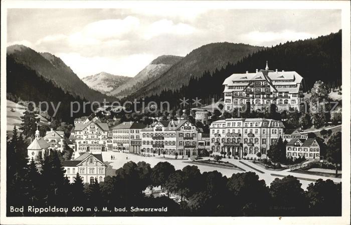 Bad Rippoldsau Schwarzwald Ortsansicht