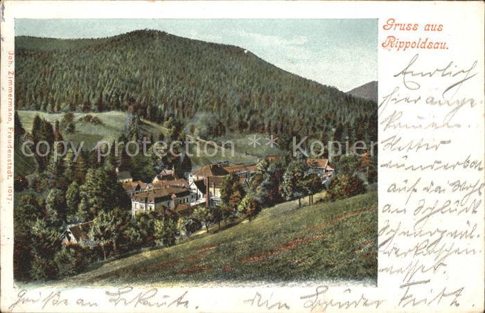 Bad Rippoldsau Schwarzwald Teilansicht