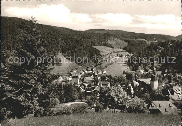 Todtmoos Schwarzwald BW Panorama